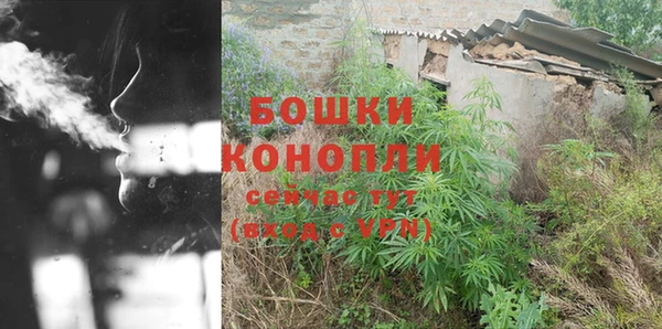 PSILOCYBIN Иннополис