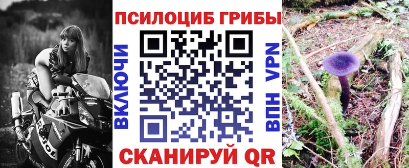 Галлюциногенные грибы Psilocybine cubensis  Купить закладки  Георгиевск 